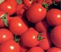 Томат Аленка F1 (5000 с)
